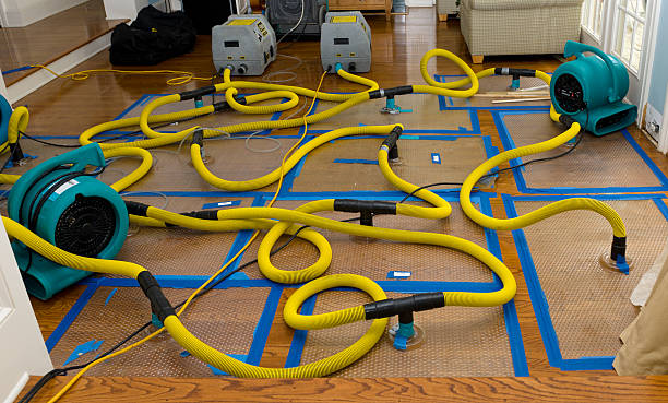 Professional Flood Damage Restoration technician working in Lima, PA
